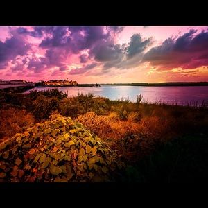 Meet your Posher, Terri